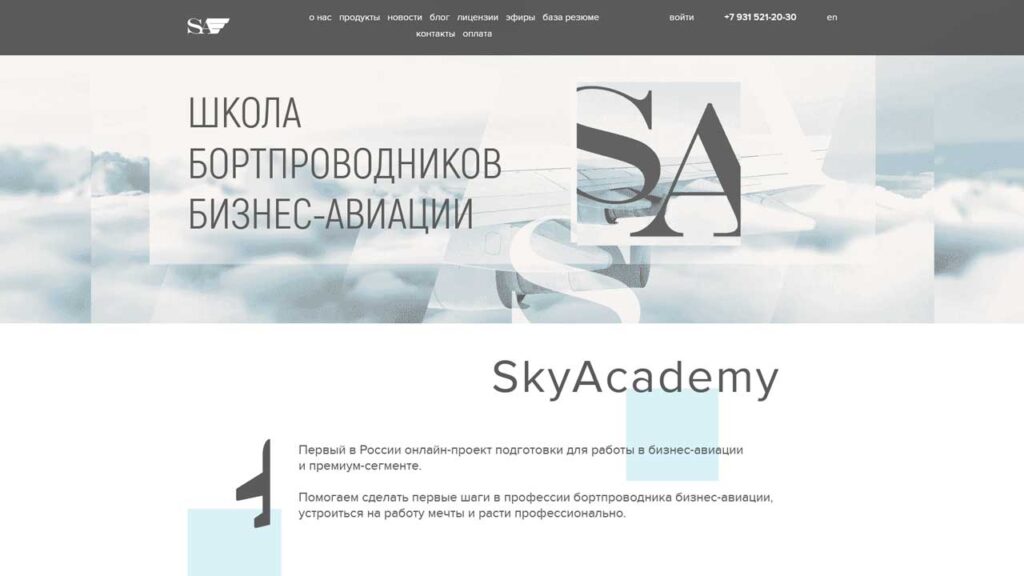 portfolio-marketologa-skyacademy.ru