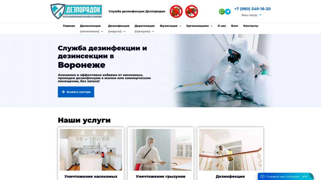 portfolio-v-marketinge-dezporyadok.ru