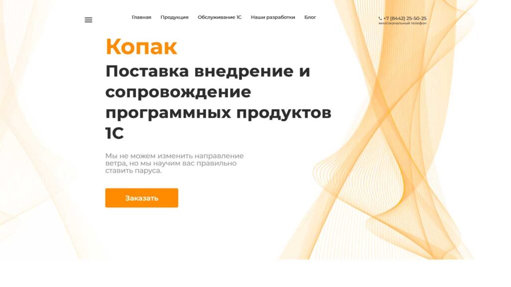 portfolio-v-marketinge-kopak.ru